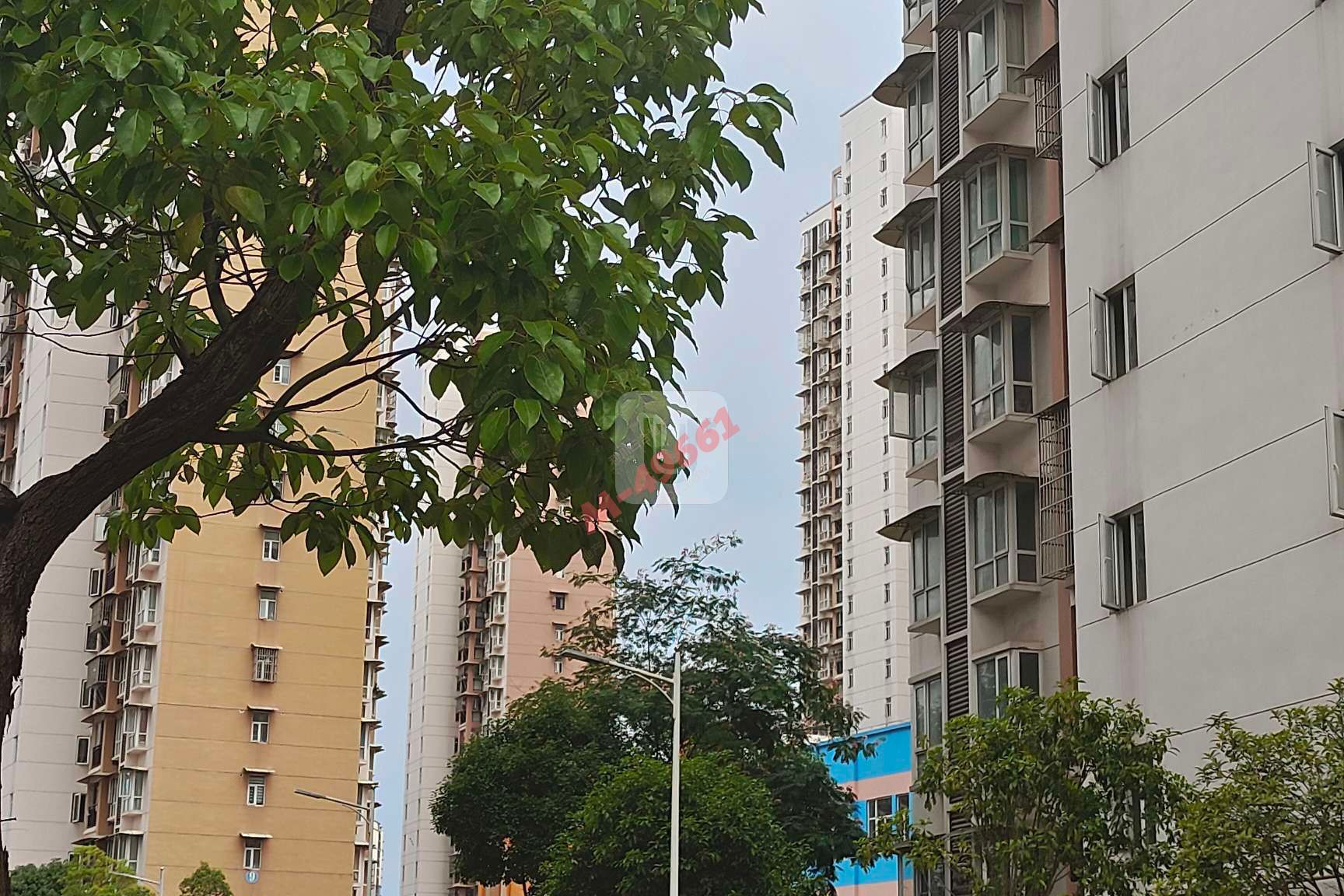 M-49661售房图片
