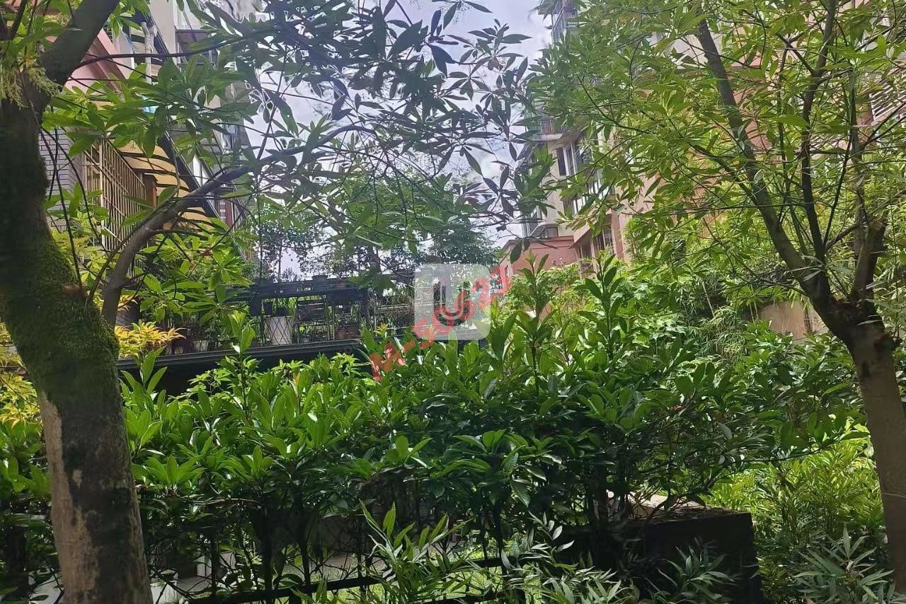 M-50623售房图片