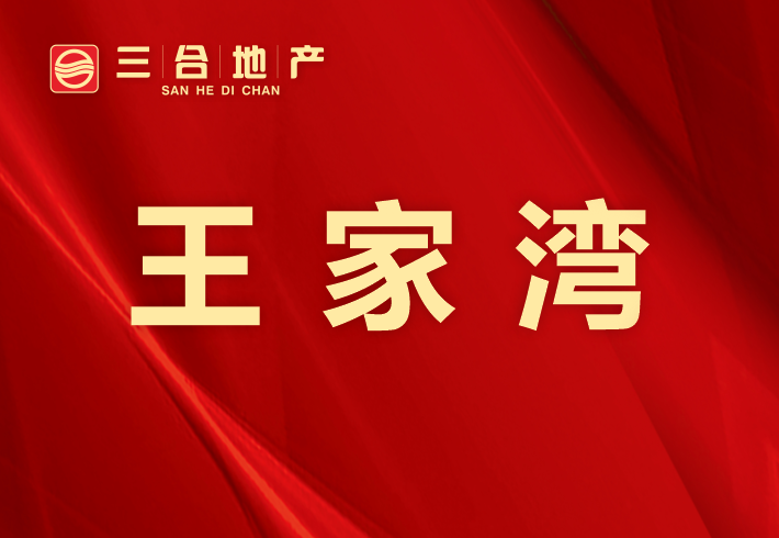 王家湾私房/小产权小区图片