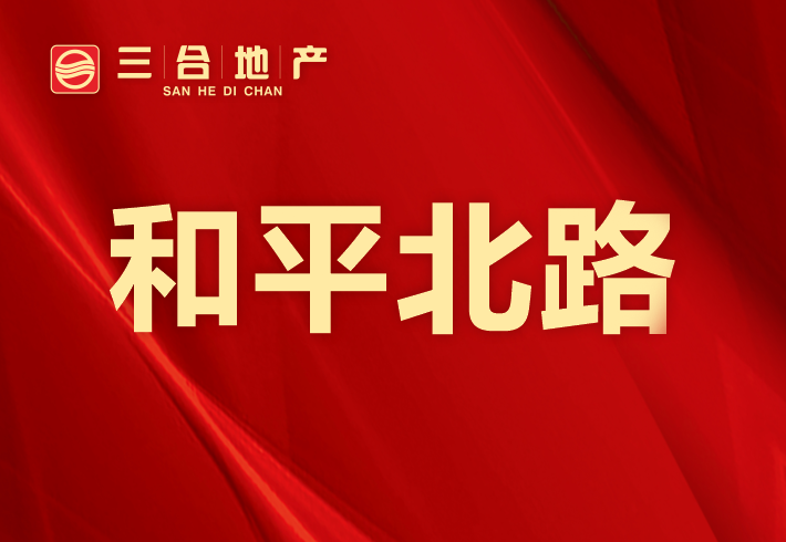 和平北路私房/小产权小区图片