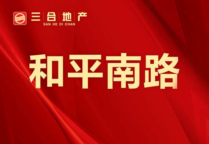 和平南路私房/小产权小区图片