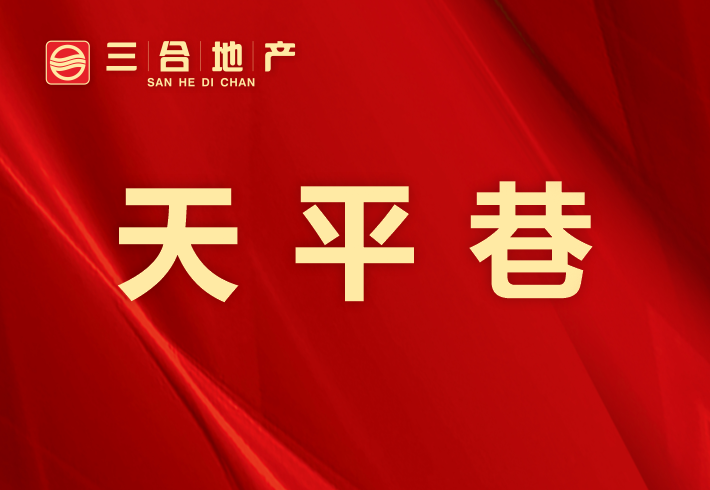 天平巷私房/小产权小区图片