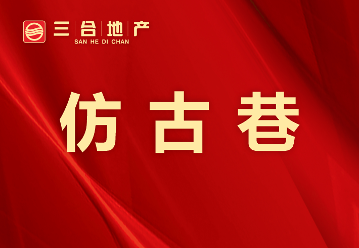 仿古巷私房/小产权小区图片