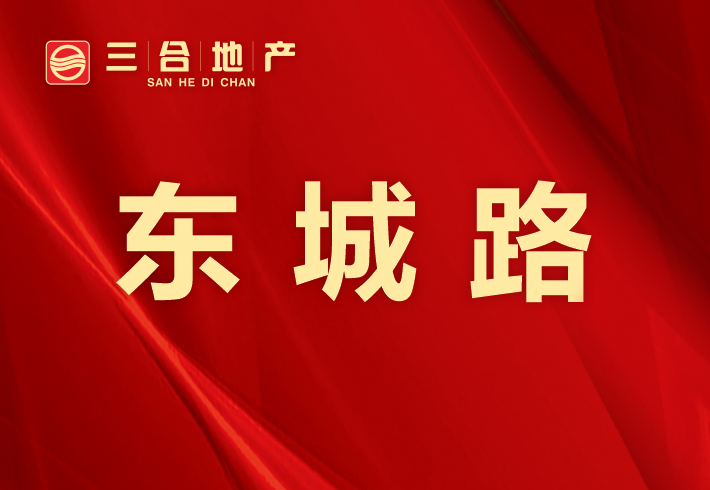 东城路私房/小产权小区图片
