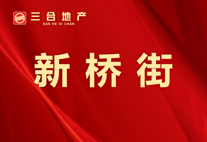新桥街私房/小产权小区图片
