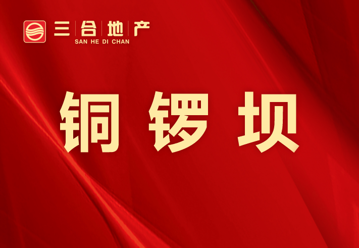 铜锣坝私房/小产权小区图片